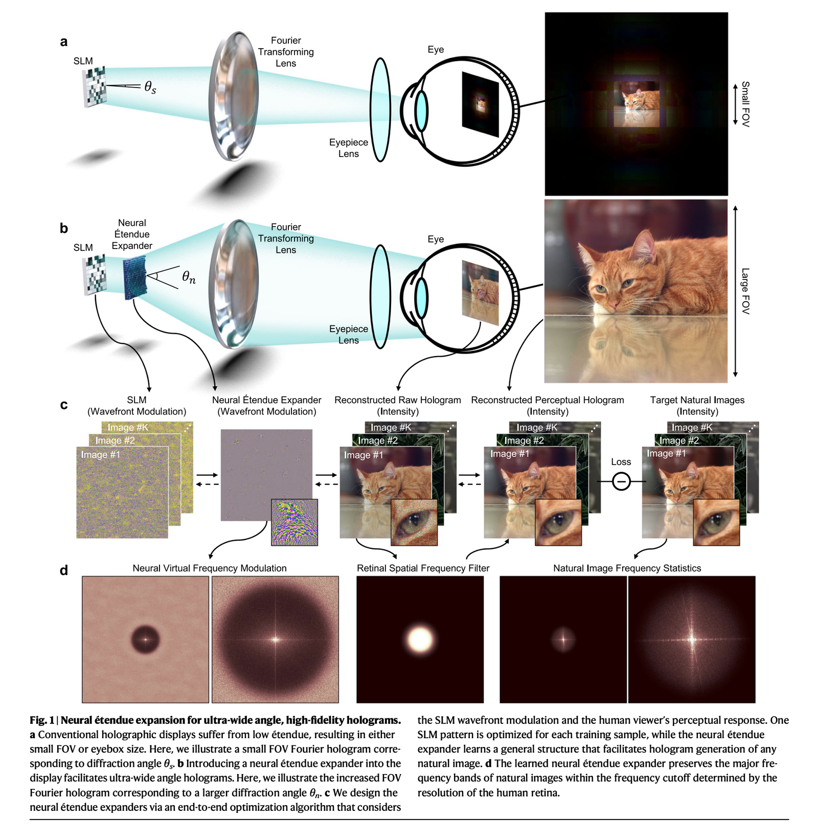 Meta & Princeton Hack Display Physics—64× Wider, Retina-Sharp XR with a Neural Étendue Expander